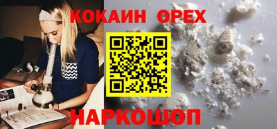 индика Партизанск