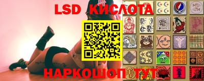 индика Партизанск