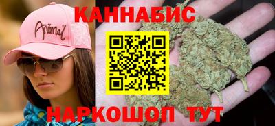 индика Партизанск