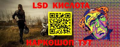 индика Партизанск