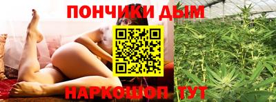 индика Партизанск