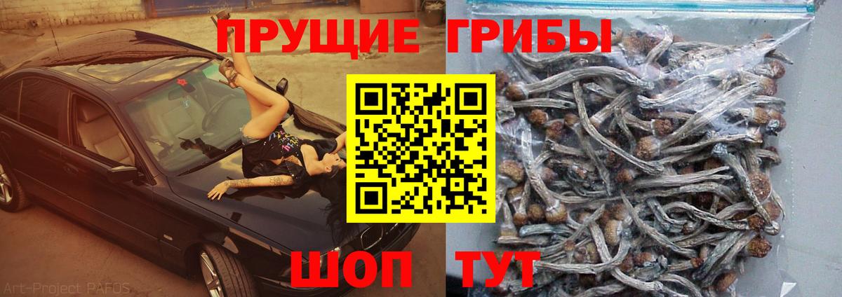 Галлюциногенные грибы MAGIC MUSHROOMS Сыктывкар